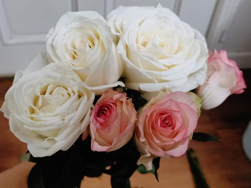 生鲜电商卖花到底靠谱吗 实测报告来了