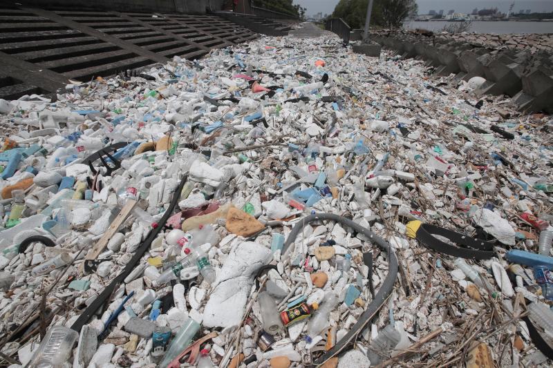台风"烟花"留下遍地垃圾,上海滨江森林公园喊市民一起参与清理