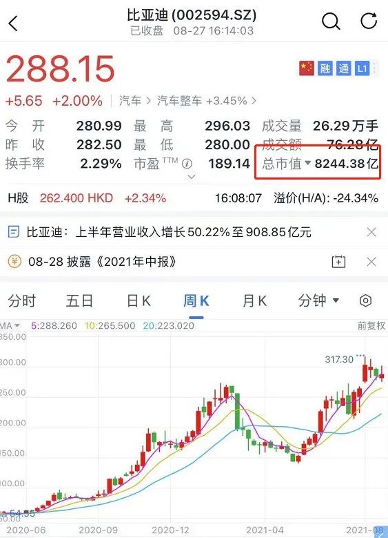 比亚迪股票股民分析 7174158b-abf3-411a-b959-ac1f69a9e0c2.jpg