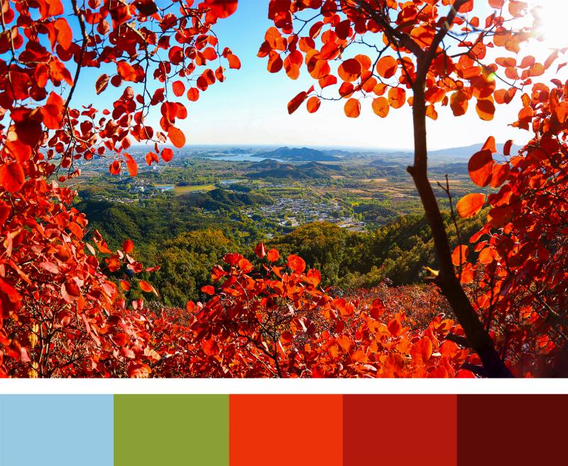 秋天是搭配色彩的能工巧匠,它信手拈来,编织出一幅幅五彩斑斓的图画