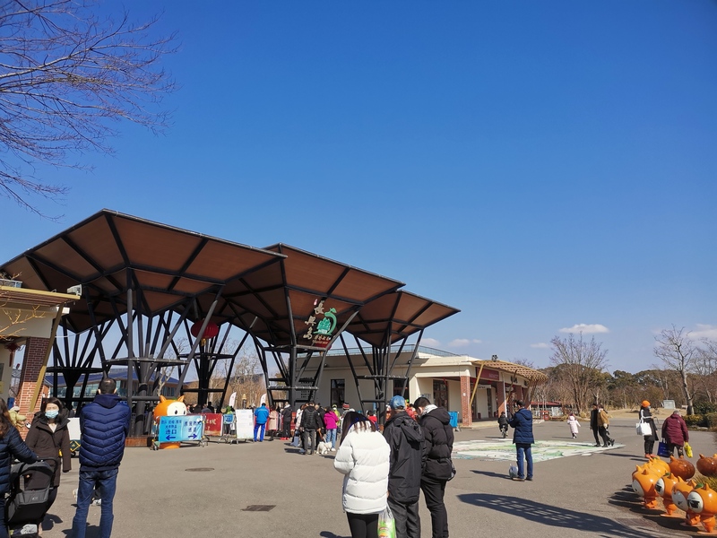 游客量同比增加1146春节假期上海市民游客游园热情高涨