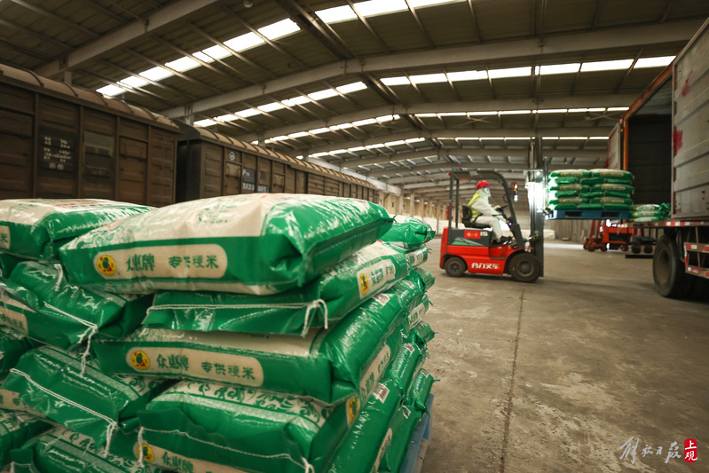光明农发集团市区大米生产线增能20保障大米供应