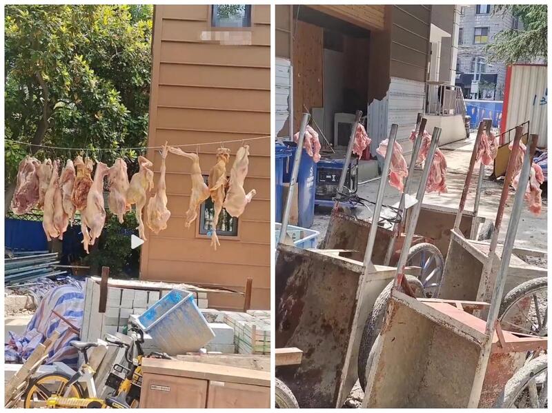 有人在上海垃圾桶内捡到几百斤肉？政府调查（视频/组图） - 2