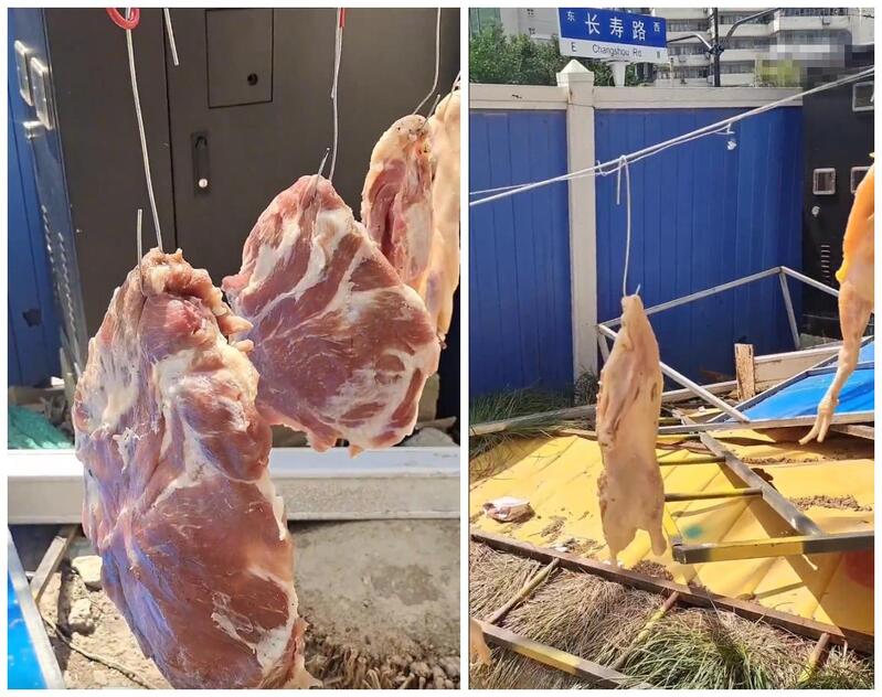 有人在上海垃圾桶内捡到几百斤肉？政府调查（视频/组图） - 3