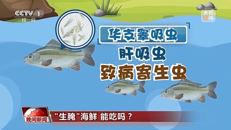 上熱搜有人食用後感染寄生蟲生醃食品有兩大誤區