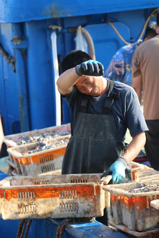 渔民的工作辛苦，但收入不低。 冯蕊 摄