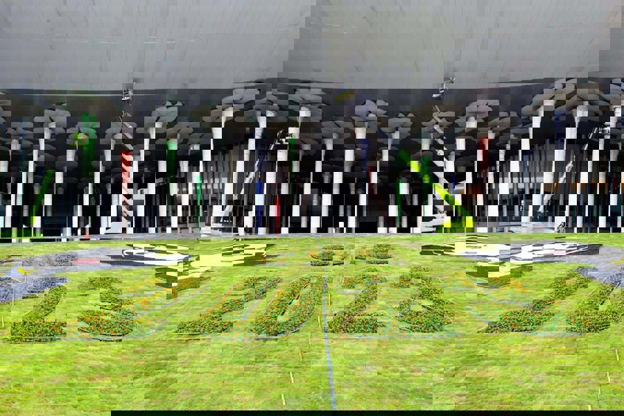 让四叶草绽放得更美丽上海国家会展中心南广场绿化升级