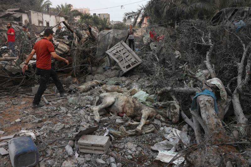 （外代一线）（4）巴勒斯坦卫生部门：以军袭击加沙地带已造成超过5000人死亡