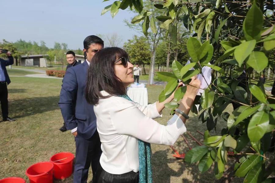 夏思雅在上海参加植树活动。受访者供图。