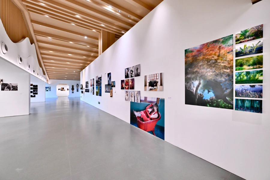 青春筑梦第十四届上海市摄影艺术展暨长三角青年摄影艺术联展开幕