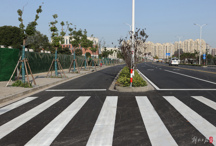 宝山区宝安公路880号图片