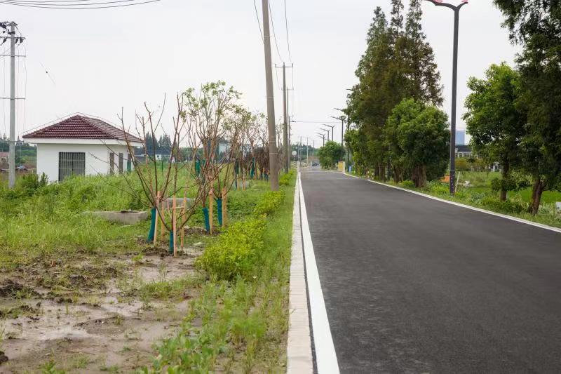 鄉村行看振興上海奉賢創新提升農村人居環境背後有啥奇招秘技