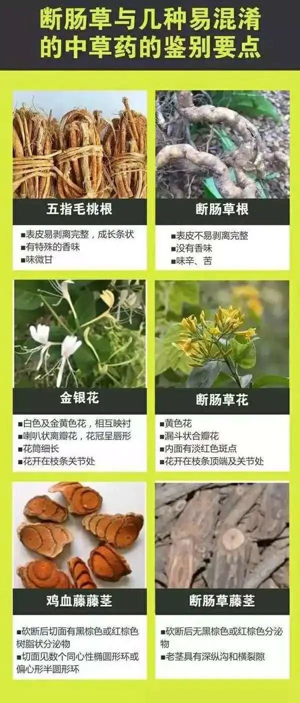 efabf322-8dc0-4db8-946d-cafa06b4a7fd.jpg