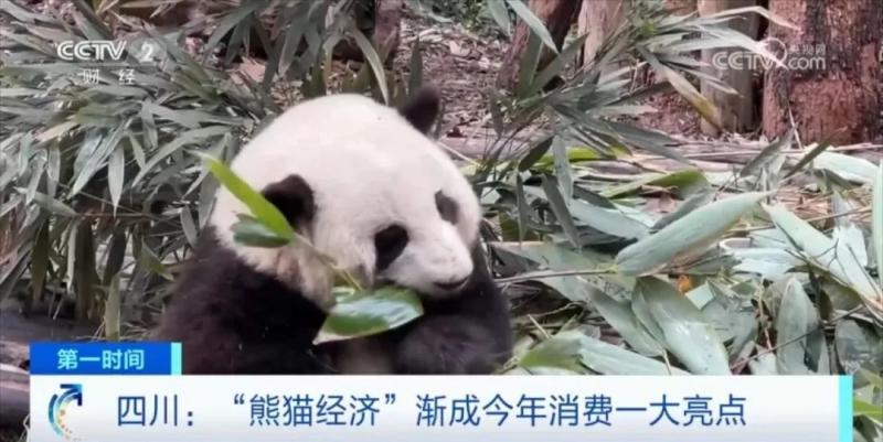 火爆！一只玩偶卖到上千元还供不应求！相关酒店预订量暴增320%
