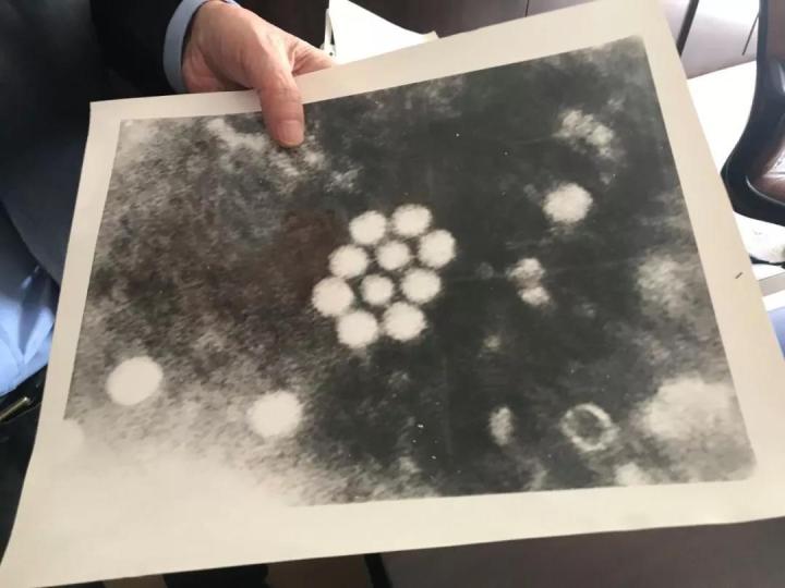 著名数学家王元院士逝世_著名材料科学家肖纪美院士逝世_毛江森院士逝世