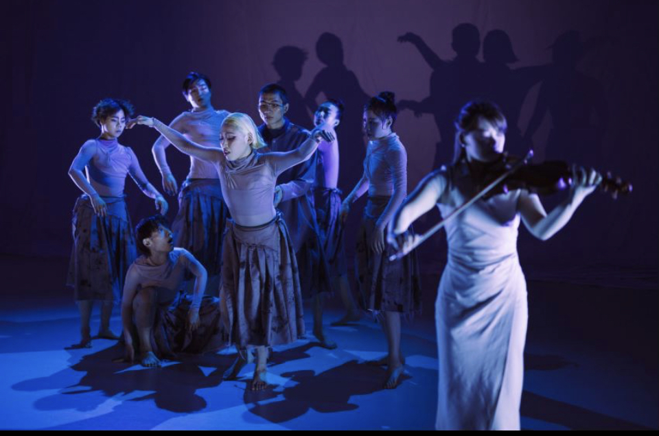 图片[1]-上海出品《百鸟朝凤》首轮演出结束，观众赞誉不绝，《百鸟朝凤》“好美！”-上淘有品虚拟资源下载