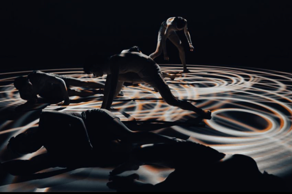 图片[2]-上海出品《百鸟朝凤》首轮演出结束，观众赞誉不绝，《百鸟朝凤》“好美！”-上淘有品虚拟资源下载