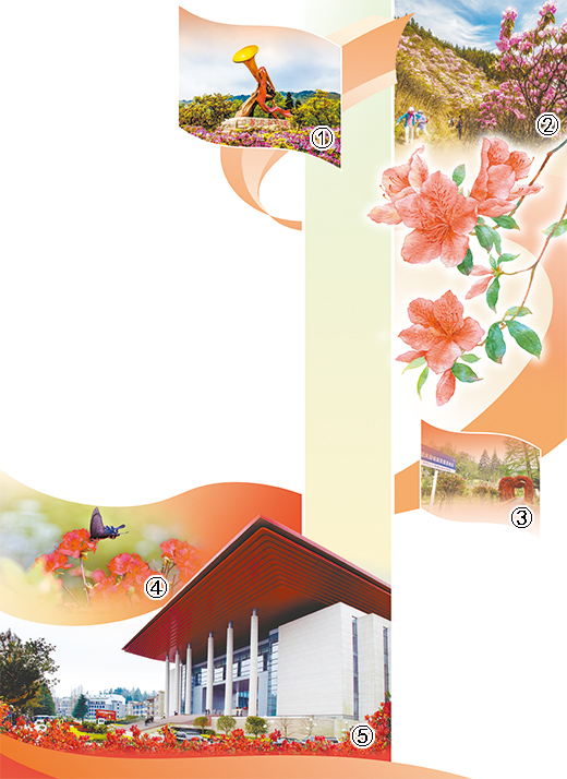 图片[1]-岭上开遍映山红（一朵花读懂一座城）-上淘有品虚拟资源下载