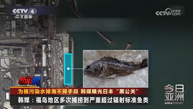 上海莱媒公关咨询有限公司_日称核污染水排海无法延后_莱媒公关吴娟结婚了吗