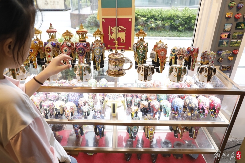 斯里兰卡中国通带着家乡的特产将第四次参加进博会这次还带上了新朋友