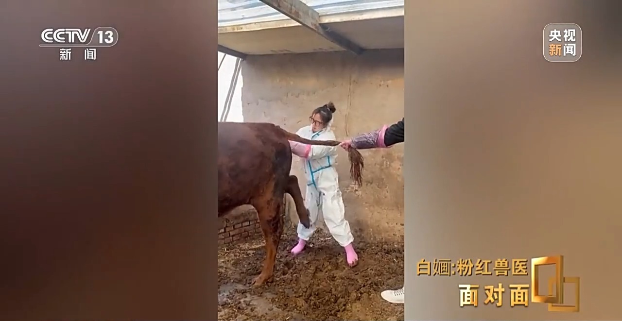 粉衣粉靴粉车95后粉红兽医白婳从不被理解到获得尊重