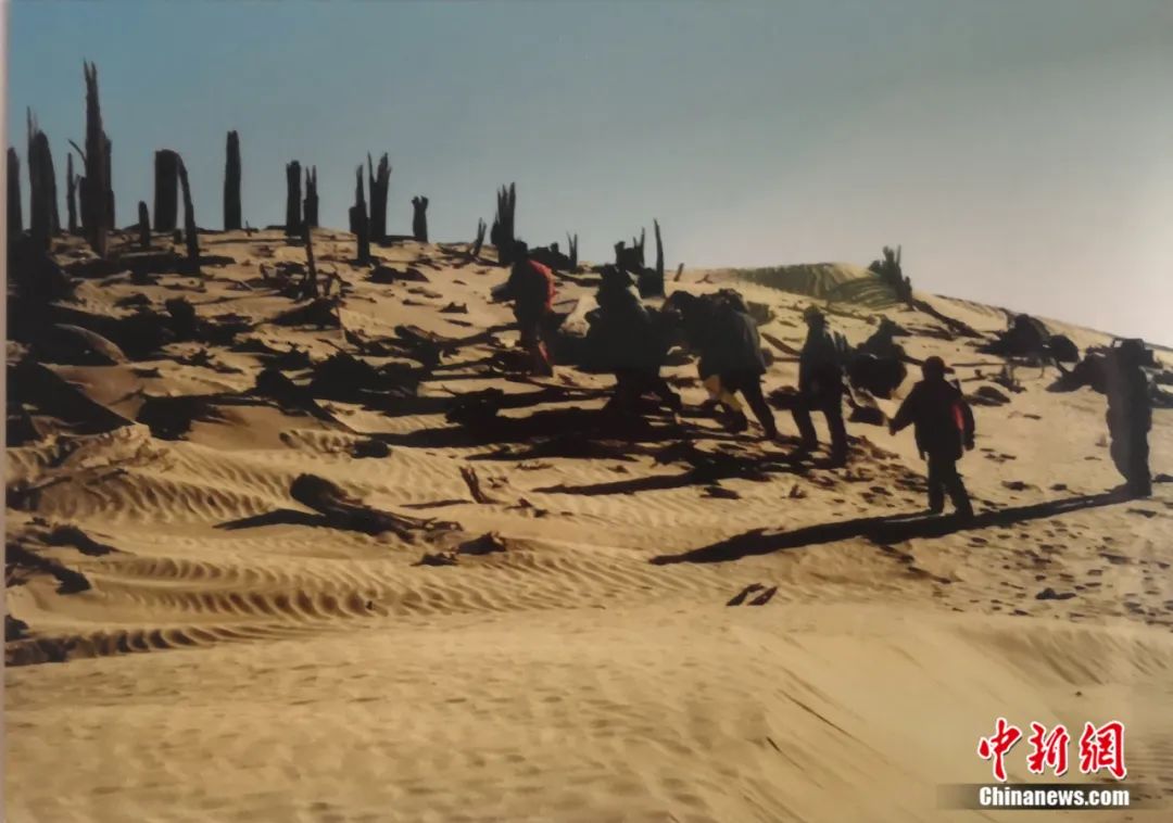 东西问·名家坊丨王炳华:享誉学界的新中国新疆考古拓荒人