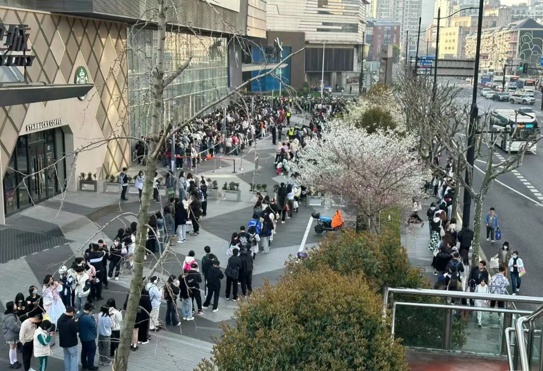 10小时卖了268万有人带着被子熬夜排队网友无法理解