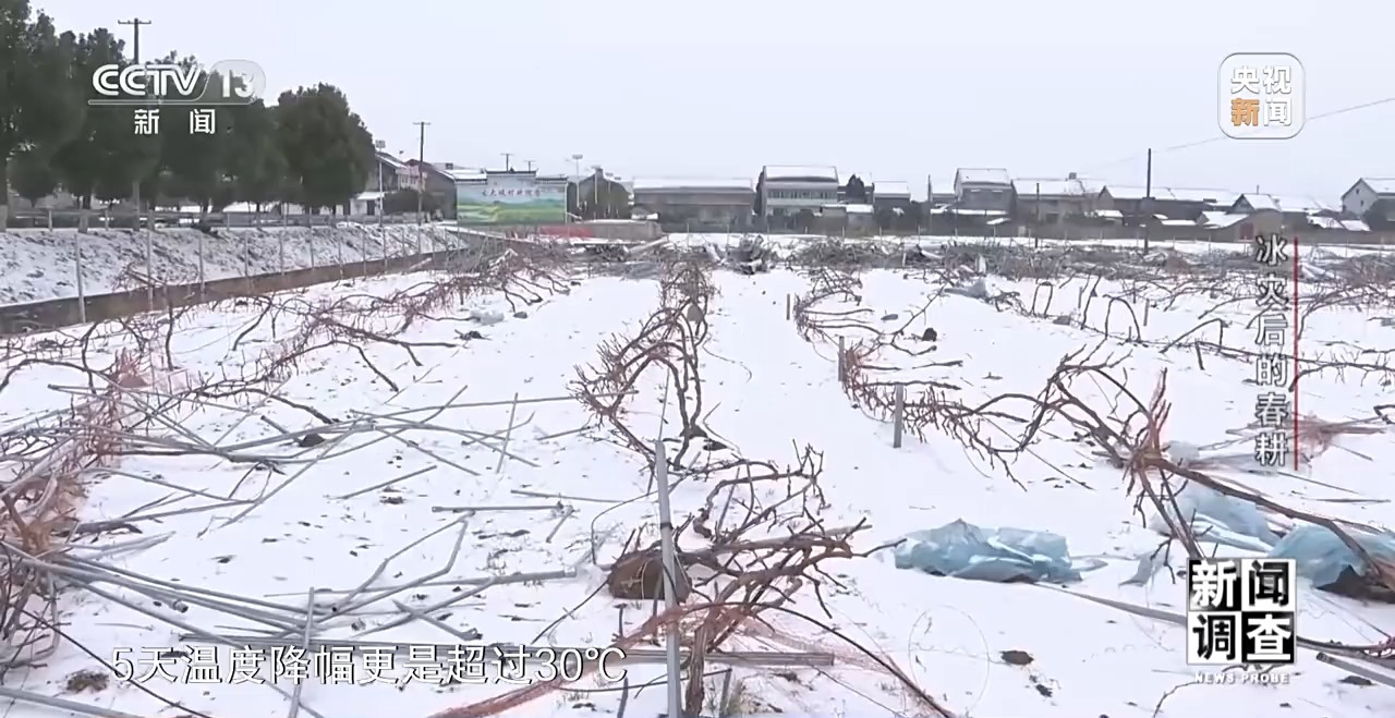 冰灾之后春耕怎么样了