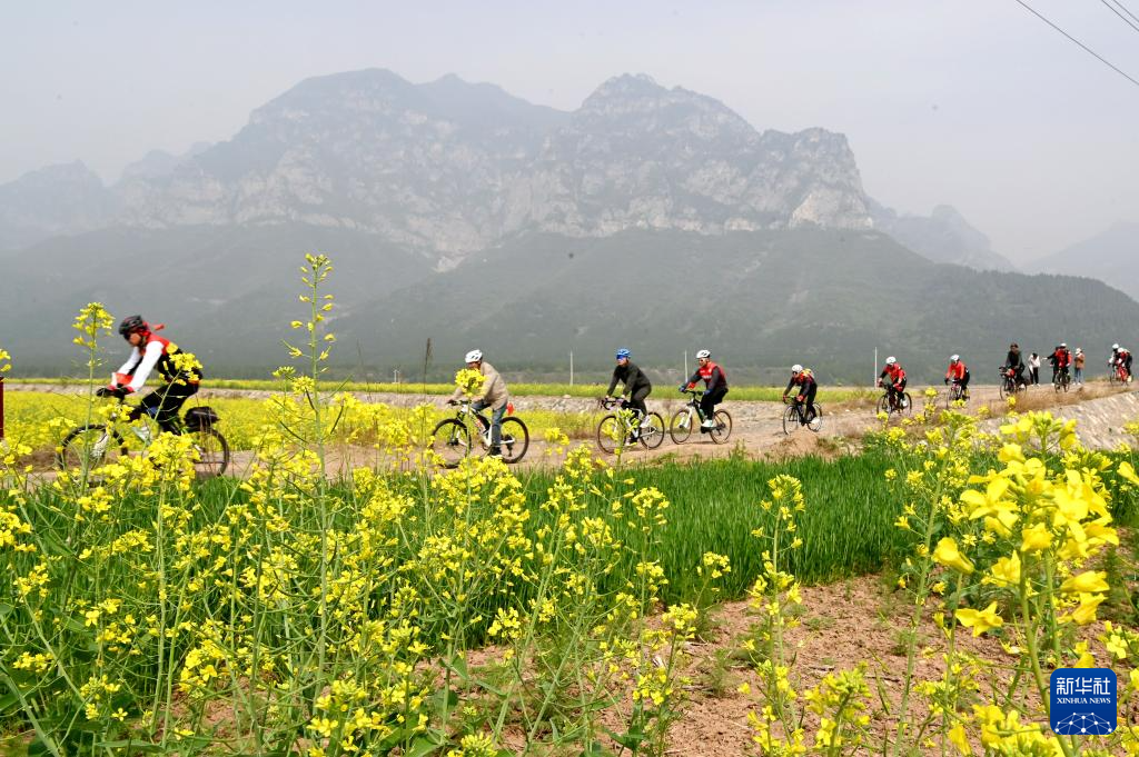 4月5日,骑行爱好者在河南省沁阳市紫陵镇赵寨村"千亩花海"的乡间道路