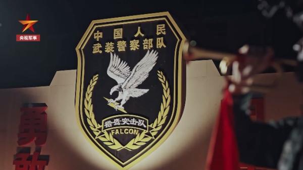 国家级反恐拳头部队! "猎鹰突击队"究竟有多硬核?
