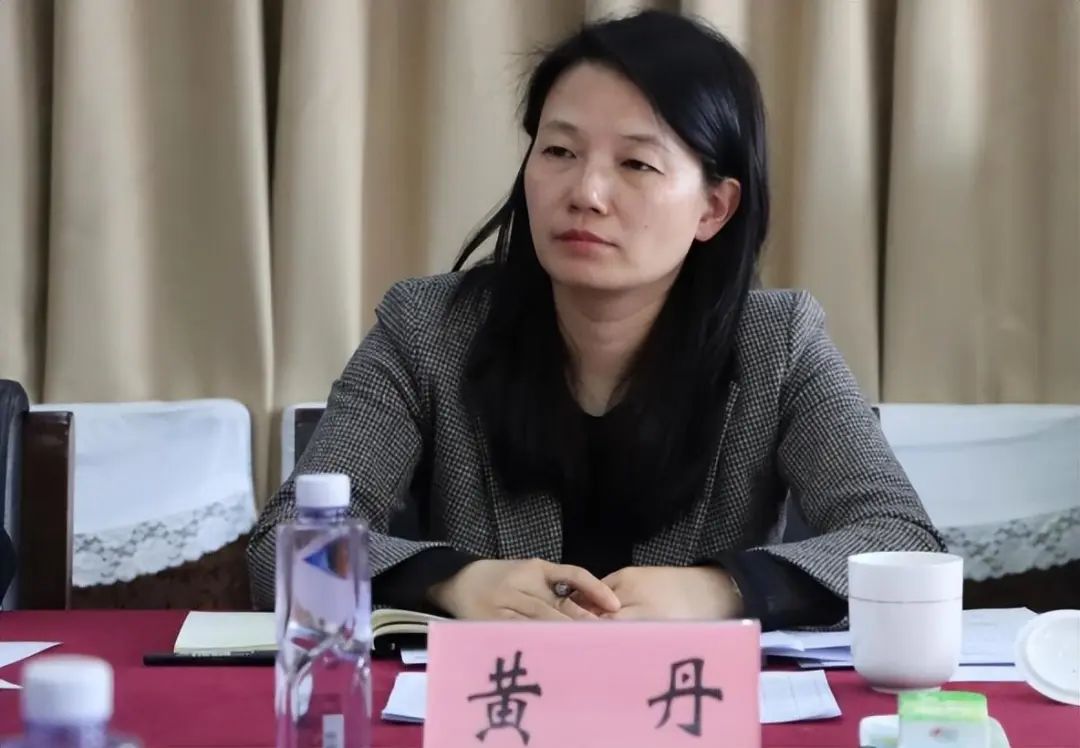 北京市东城区政府官网"区委领导"一栏显示,黄丹已任东城区委常委,组织