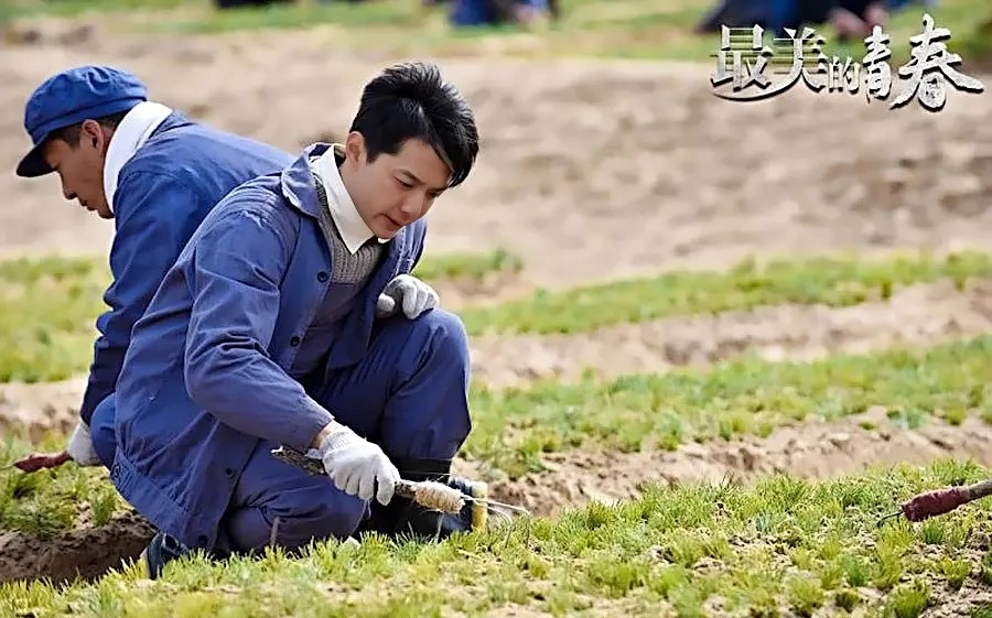 从《灵魂摆渡》到《向延安》,刘智扬的"非典型"主角之路