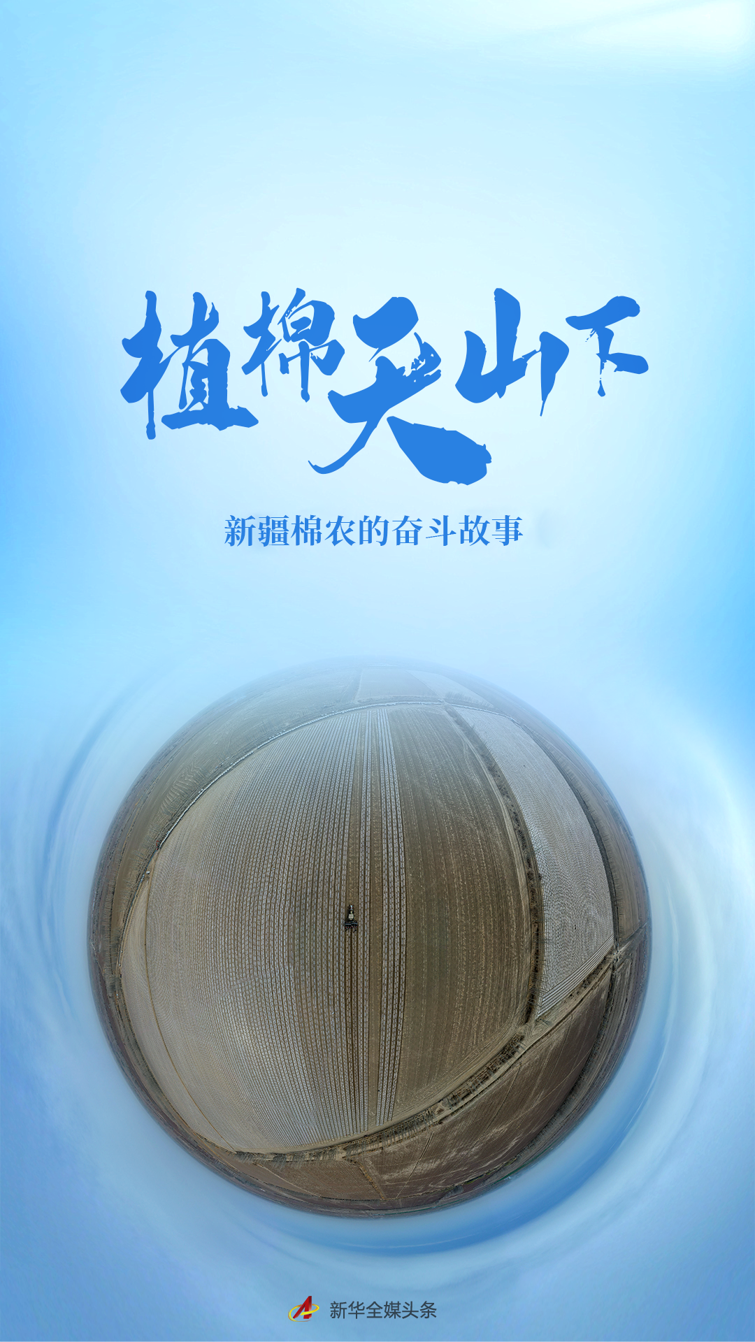 新疆是我国最大的棉花产区,何洪涛的家乡沙湾市是新疆主要的产棉基地.