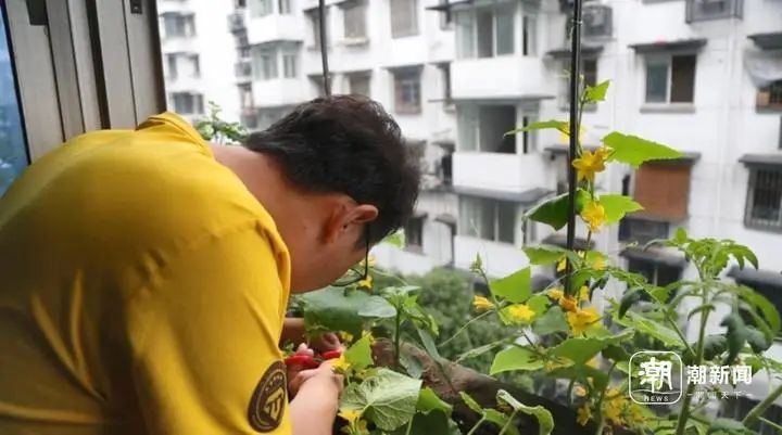 他有空的时候,会去松松土,浇浇水,等待收获.