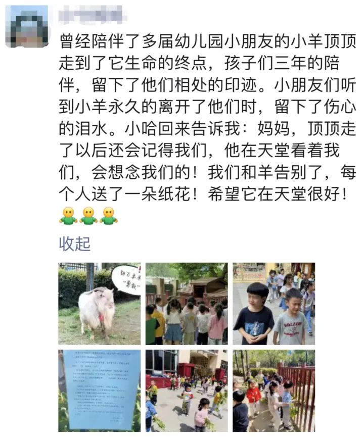 他们为这只羊,发了一份讣告