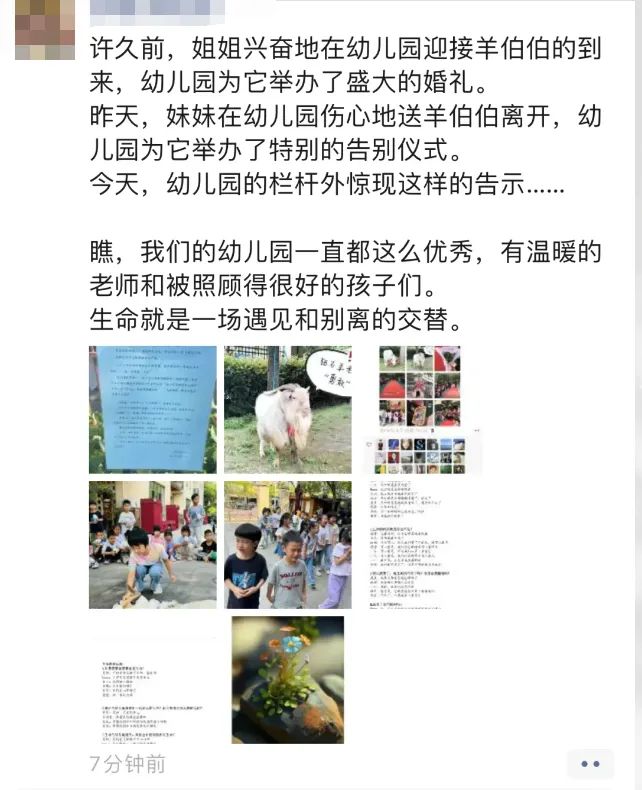 他们为这只羊,发了一份讣告
