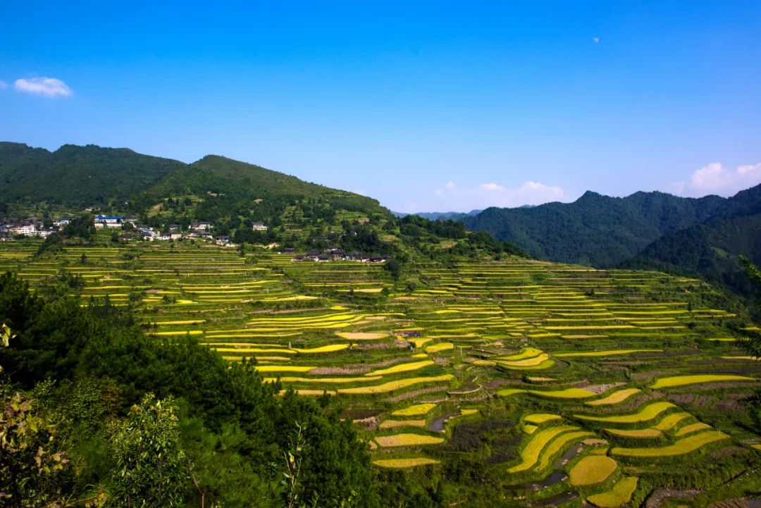 因"村ba"爆火!走进"苗侗明珠"凯里:慢游好山好水,慢赏民族文化