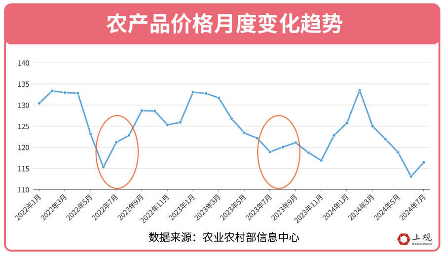 这个夏天，是什么让上海的黄瓜价格上涨