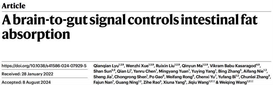 《自然》刊发瑞金内分泌团队成果：大脑能控制肠道吸油？中药葛根素或能减肥！