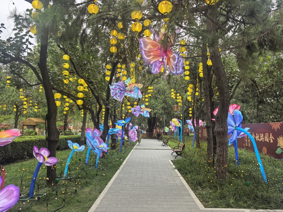 时隔50年，菊花展再现日坛公园，且为“菊境+花灯”视觉盛宴