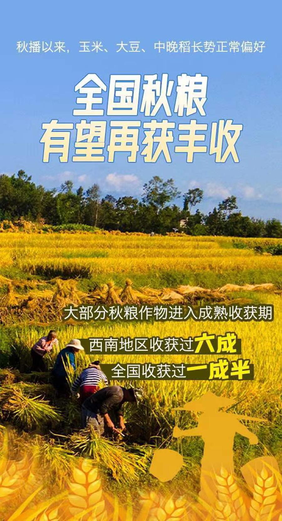 【一周海报回顾】工博会、设计之都大会还有赛艇比赛，申城这周很热闹