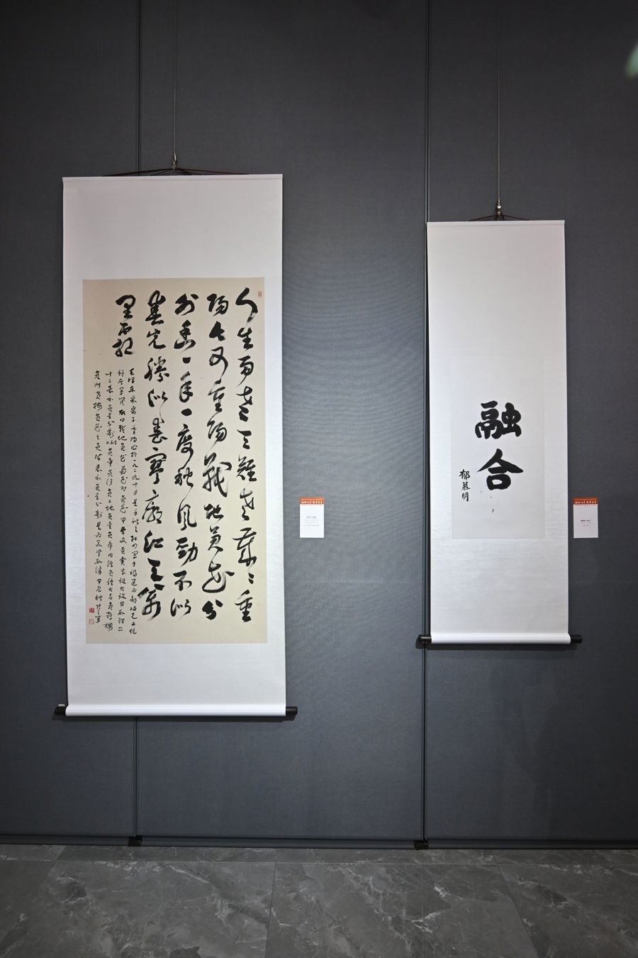 海峡两岸书画艺术交流展在上海开幕