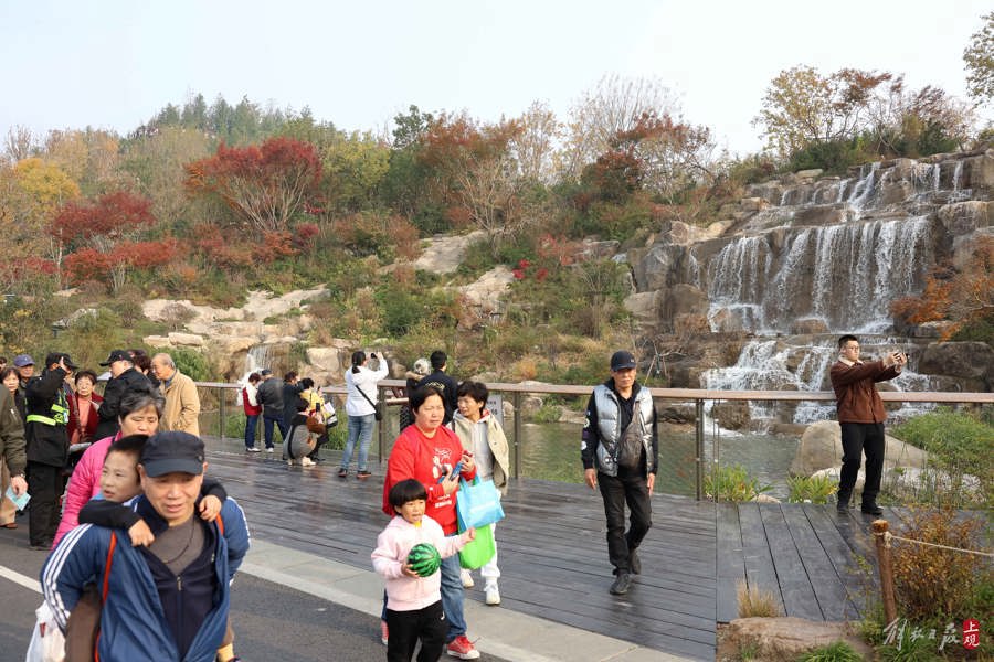 人们行走在世博文化公园双子山间，一步一景。