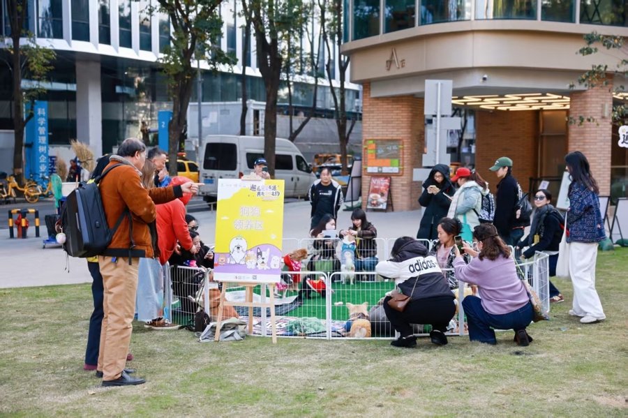 宠物特色的新时代文明实践阵地来啦！“宠物友好公约”出炉
