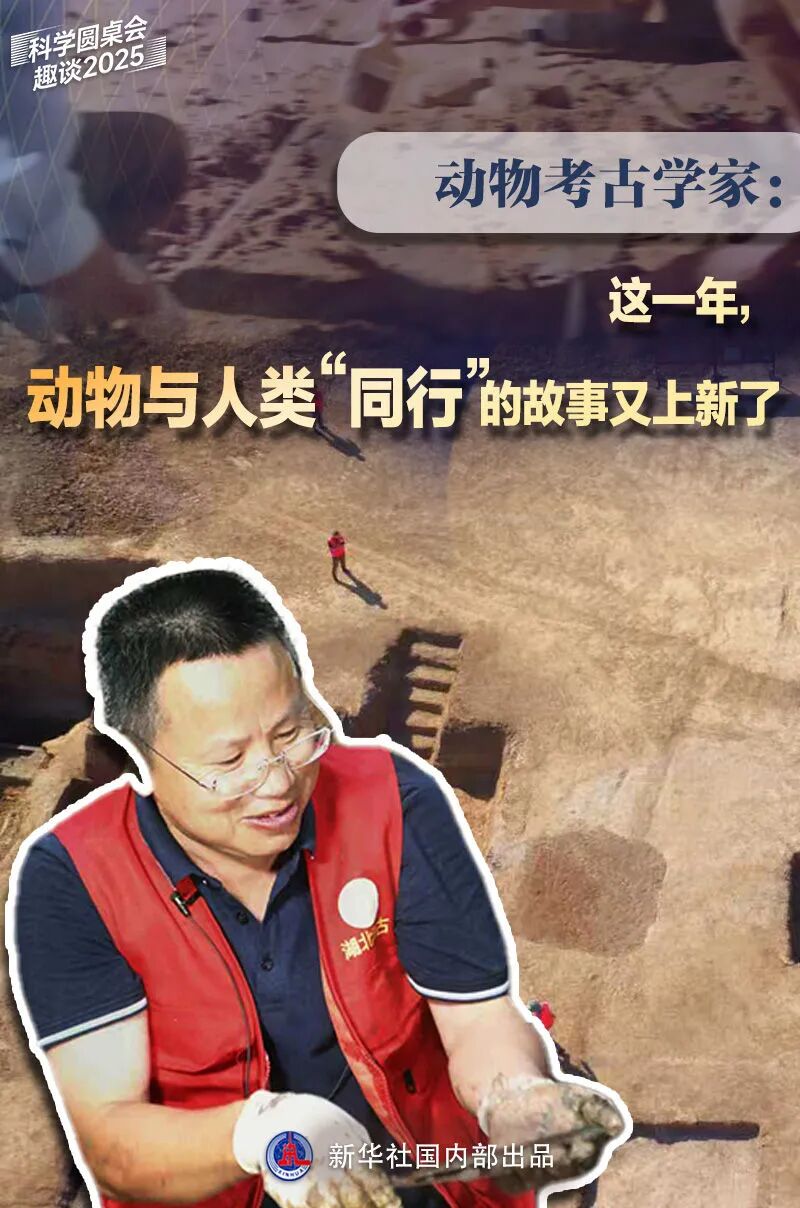 中国的家猫、家犬从哪来？有答案了