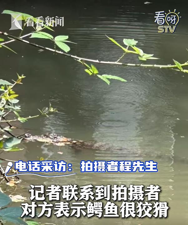20984118-2cf3-4a2c-8429-36ed0c5ad064.png