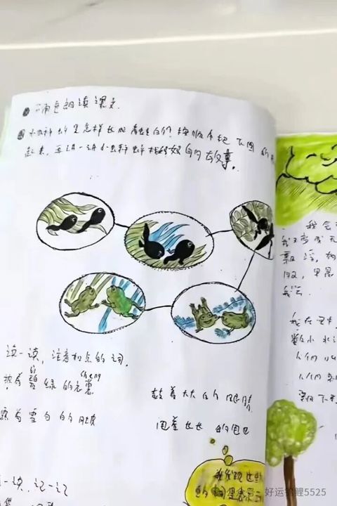 a5c91a5e5fd0b70874e1d8bd2888cc99.jpg