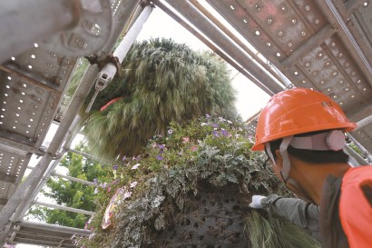 工人在拆除“潦草小狗”身上的苗木。  均  本报记者  蒋迪雯  摄