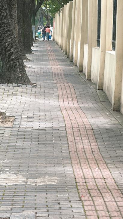 浦东新区枣庄路的人行道路面呈现“波浪状”。  李昂  摄