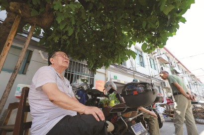 小区的无花果树开花结果了，居民的“愿望”达成了。